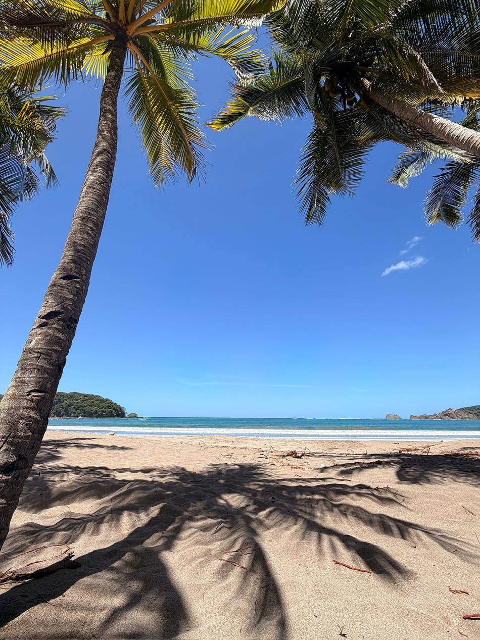 Playa Carrillo, la de las palmeras