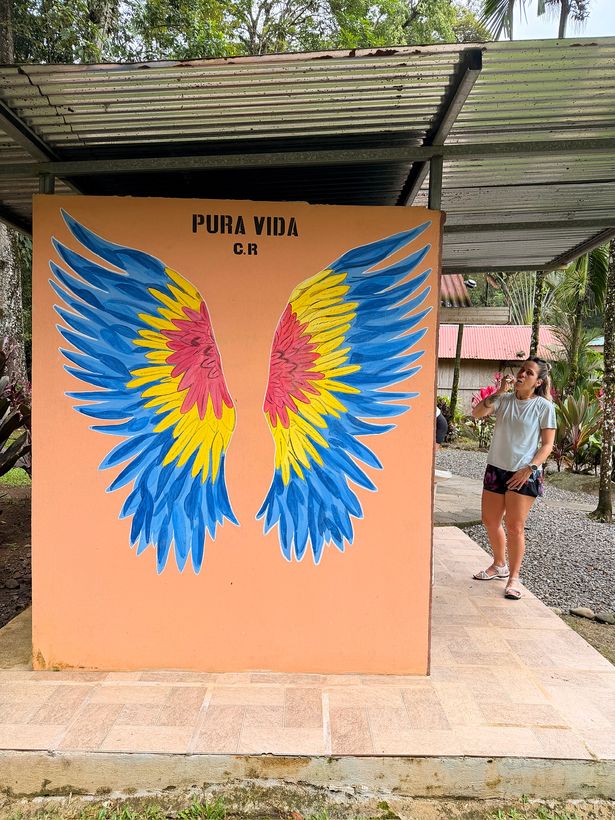 Pura Vida