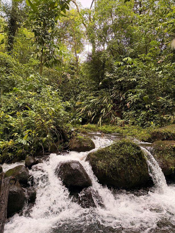 El río al lado del campamento