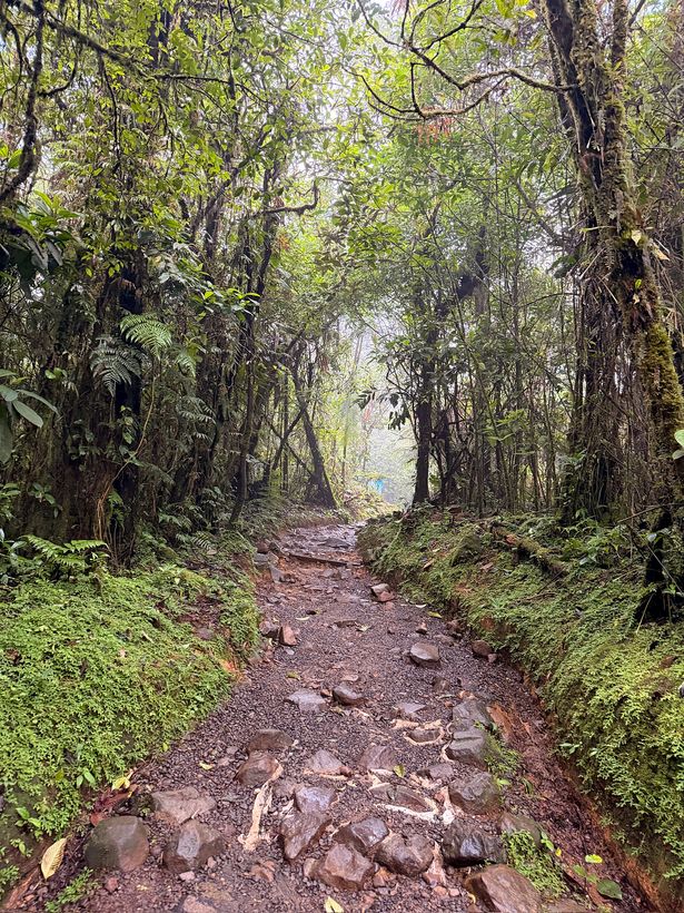 Entrando al Tenorio con niebla