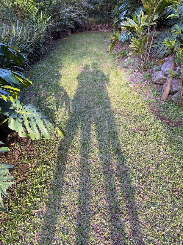 Las siete de la tarde en Monteverde