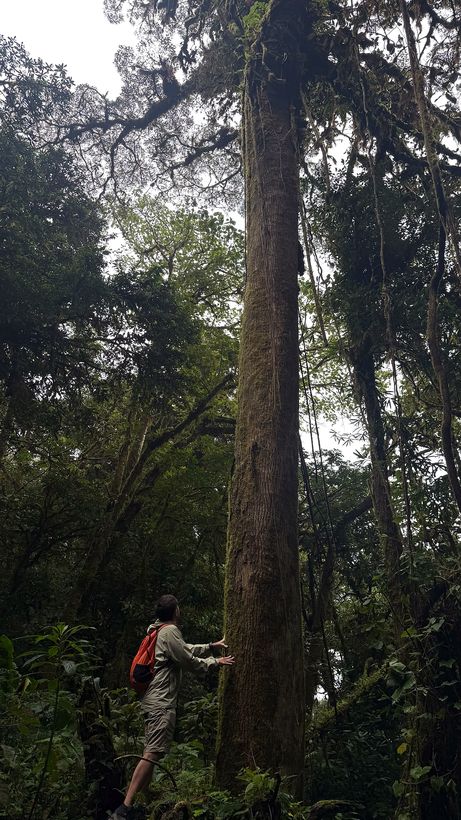 Foto del viaje