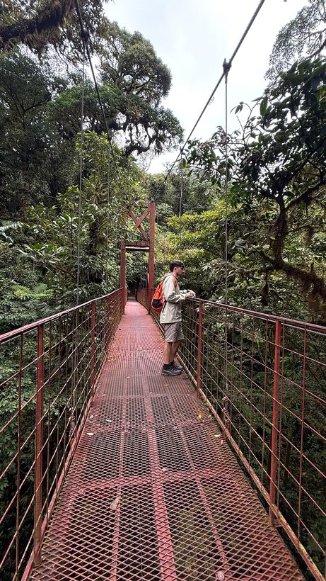 El puente colgante del sendero Wilford Guindon