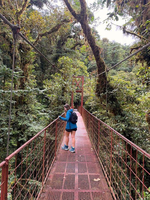 El puente colgante del sendero Wilford Guindon
