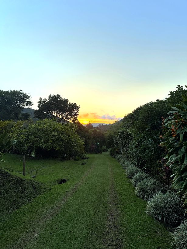 Atardecer en Monteverde
