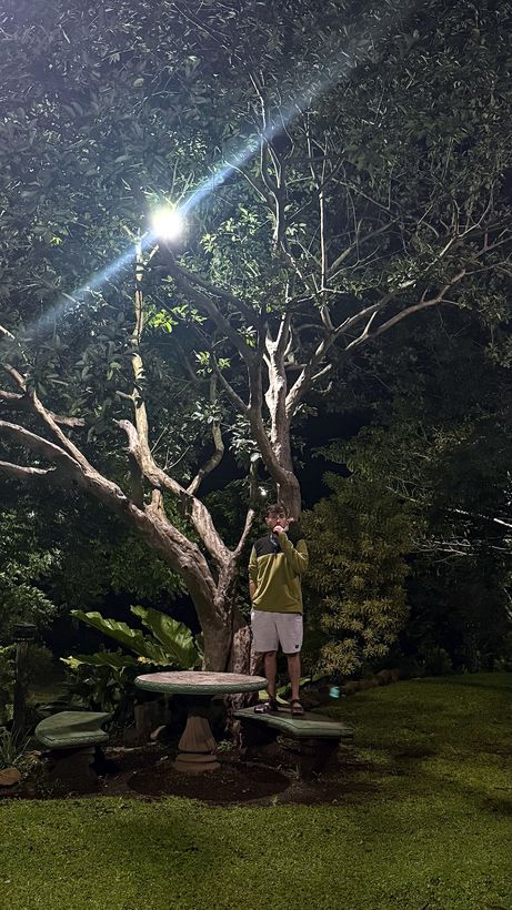 La noche en Monteverde