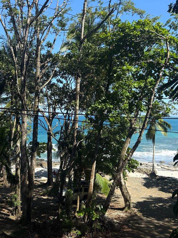 La playa de Montezuma, entre los árboles