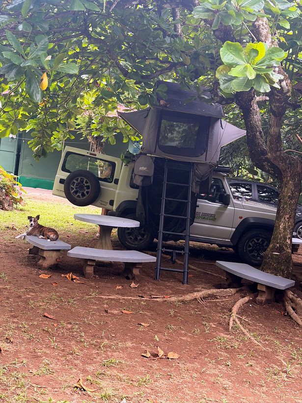 El campamento, con la carpa arriba del auto