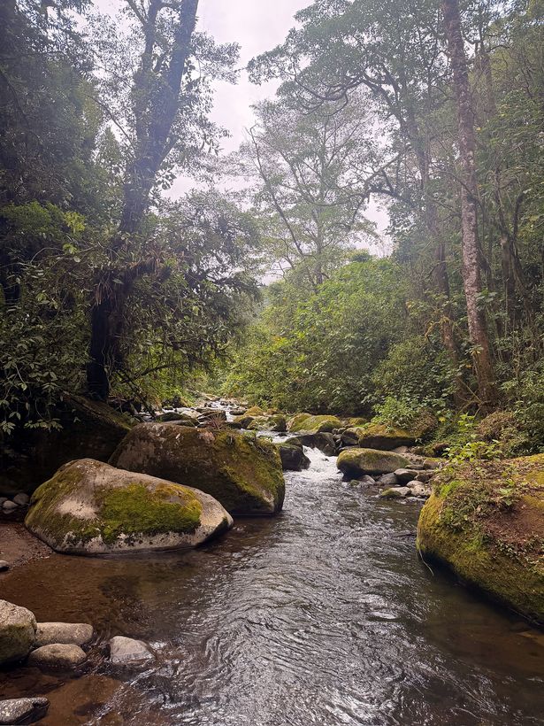 El río Savegre, entre las piedras con musgo