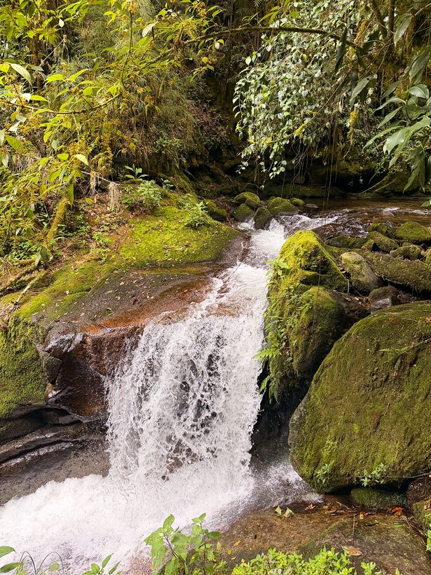 Una cascada apareciendo en el sendero
