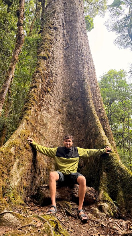 El árbol que necesita dos personas y sobra