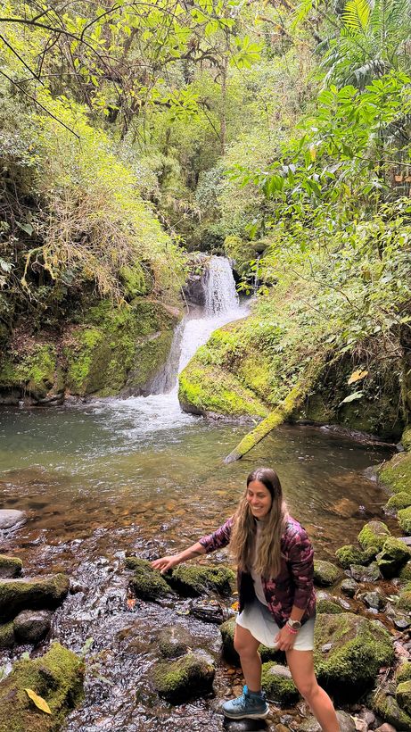 Maca sentada frente a la cascada