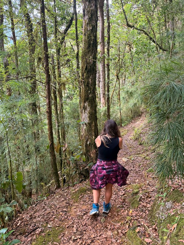 Subiendo el sendero, entre los árboles altos