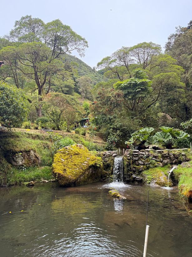 El jardín del lodge, con su cascada chiquita